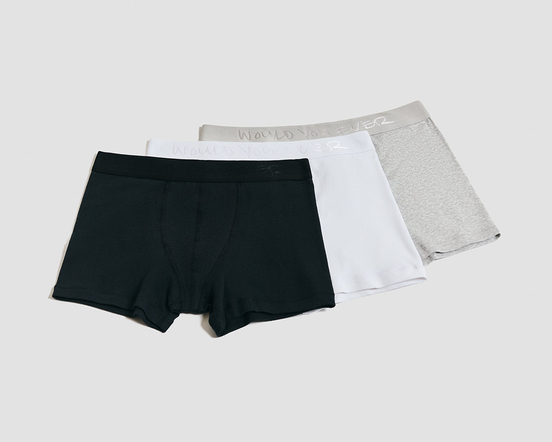 DAILY BRIEF product image 2